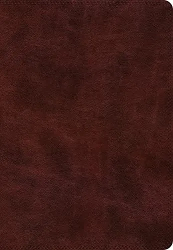 ESV Super Giant Print Bible cover